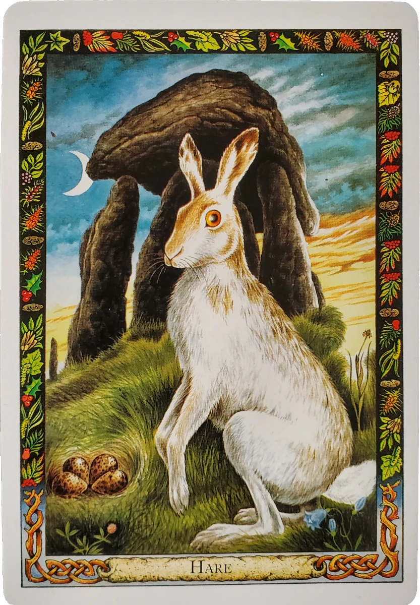 Hare oracle card