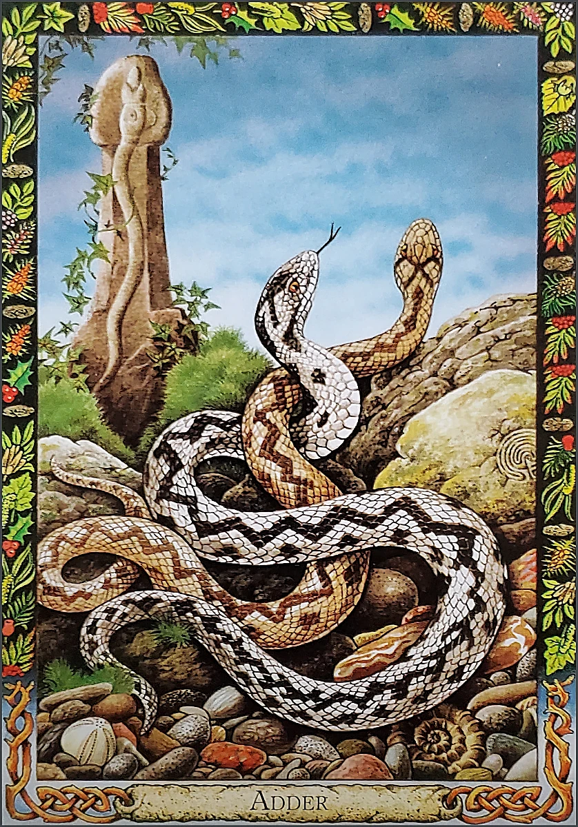 Adder oracle card