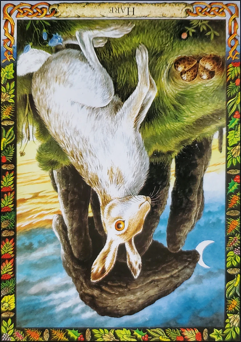 Hare oracle card reversed